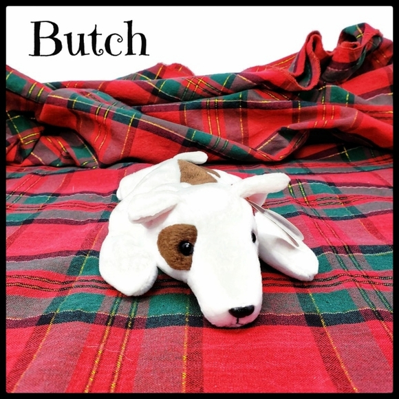 Vintage 1998 Ty Beanie Babies Collection "Butch" - Picture 2 of 7